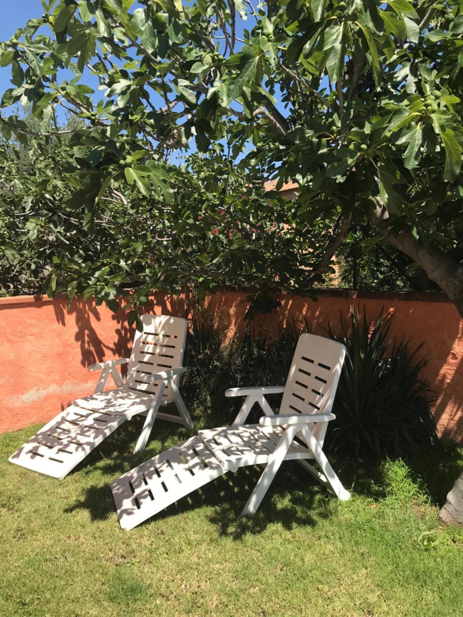B&B Da Tizy San Teodoro  Zewnętrze zdjęcie